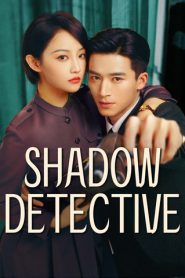 Shadow Detective (2025) Episode 12