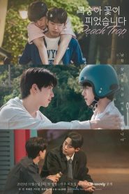 Peach Trap (2025) Episode 8
